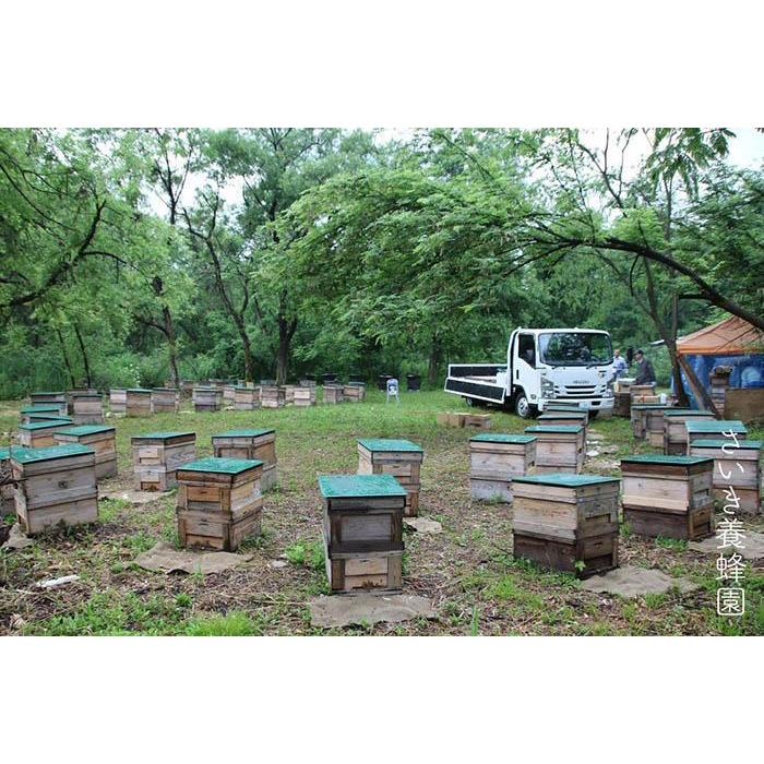 【ふるさと納税】さいき養蜂園　天然ピュア蜂蜜　1kg 2種お楽しみセット