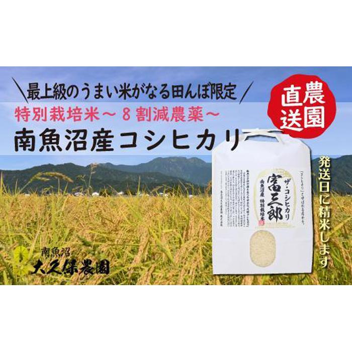 【ふるさと納税】米 無洗米 コシヒカリ 南魚沼産 5kg 富三郎 農薬8割減 特別栽培米 | お米 こめ 白米 コシヒカリ 食品 人気 おすすめ 送料無料 魚沼 南魚沼 南魚沼市 新潟県産 新潟県 精米 産直 産地直送 お取り寄せ