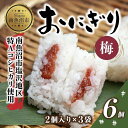 【ふるさと納税】 M-21 おにぎり コシヒカリ 梅 80g 計6個 魚沼産 梅おにぎり 梅干し うめ ウメ おむすび 冷凍 こしひかり ごはん ご飯 冷凍保存 新潟県産 魚沼 国産 おやつ 夜食 精米 米 お米…