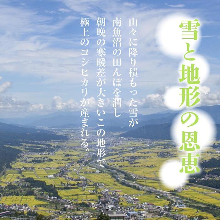 【ふるさと納税】【定期便】 新潟県 南魚沼産 コシヒカリ お米 20kg×計6回 精米済み 半年間 毎月発送 こしひかり（お米の美味しい炊き方ガイド付き） | お米 こめ 白米 コシヒカリ 食品 人気 おすすめ 送料無料 魚沼 南魚沼 南魚沼市 新潟県産 新潟県 精米