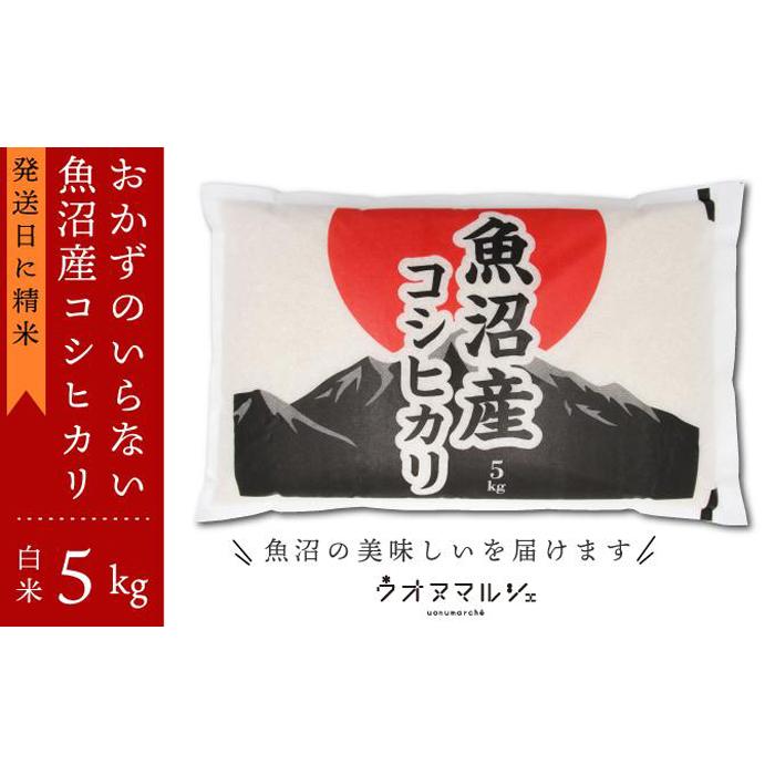 【ふるさと納税】 令和5年産 おかずのいらない 魚沼産コシヒ