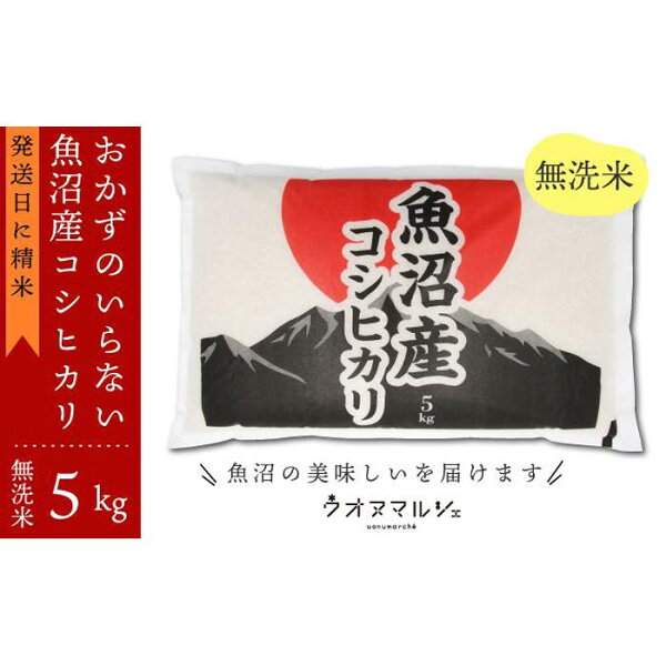 【ふるさと納税】 令和5年 おかずのいらない 魚沼産コシヒカリ　無洗米5kg | お米 こめ 白米 コシヒカリ 食品 人気 おすすめ 送料無料 魚沼 南魚沼 南魚沼市 新潟県産 新潟県 精米 産直 産地直送 お取り寄せ