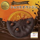 チョコレート(フルーツチョコレート)人気ランク19位　口コミ数「0件」評価「0」「【ふるさと納税】無地熨斗 ショコラオランジュ 計5枚 チョコレート ビターチョコ ショコラ オレンジ オランジュ コーティング 洋菓子 お菓子 菓子 手土産 スイーツ 贈り物 ギフト 熨斗 のし 贈答用 新潟県 南魚沼市」