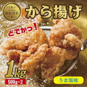 【ふるさと納税】どでか味付けから揚げ うま塩味 500g×2