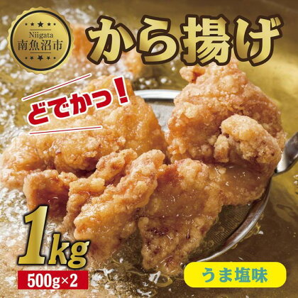 どでか味付けから揚げ うま塩味 500g×2パック 計1kg 大容量 唐揚げ からあげ から揚げ しお 塩 揚げ物 冷凍 惣菜 簡単 調理 肉 おかず 味付き 野崎フーズ 新潟県 南魚沼市