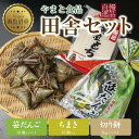 【ふるさと納税】切り餅 1kg 笹団子 10個 ちまき きな粉付き 計10個 もち 餅 おもち お餅 笹だんご 団子 だんご やまと食品 和菓子 お菓子 菓子 セット 詰合せ 詰め合わせ 贈り物 ギフト 新潟県 南魚沼市