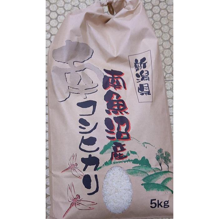 25位! 口コミ数「0件」評価「0」南魚沼産コシヒカリ　5kg　令和5年産 | お米 こめ 白米 コシヒカリ 食品 人気 おすすめ 送料無料 魚沼 南魚沼 南魚沼市 新潟県産 ･･･ 