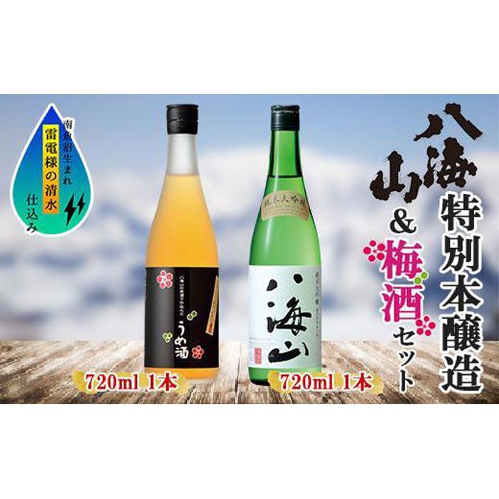 【ふるさと納税】純米大吟醸 八海山 日本酒 八海山の原酒で仕