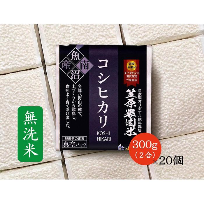 【ふるさと納税】米 約 6kg ( 2合 × 20個 ) お米 笠原農園米 こしひかり 新潟 南魚沼 魚沼産 南魚沼産 白米 無洗米 真空パック 簡易包装 精米 | 送料無料 コシヒカリ 魚沼 新潟県産 新潟県 南魚沼市 精米 産直 産地直送 お取り寄せ お楽しみ