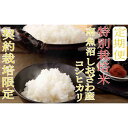 【ふるさと納税】【令和7年産】米 定期便 コシヒカリ 南魚沼しおざわ産 72kg ( 6kg × 12ヶ月 ) 特別栽培米【2025年10月上旬より順次発送予定】 | お米 こめ 白米 コシヒカリ 食品 人気 おすすめ 送料無料 魚沼 南魚沼 南魚沼市 新潟県産 新潟県 精米