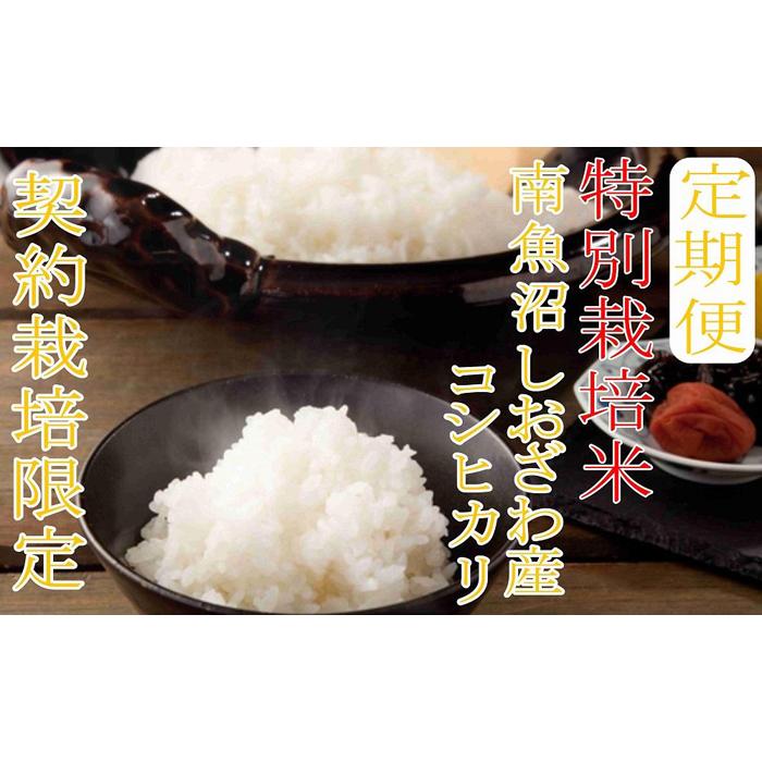 【ふるさと納税】【令和7年産】米 定期便 コシヒカリ 南魚沼しおざわ産 240kg ( 20kg × 12ヶ月 ) 特別栽培米【2025年10月上旬より順次発送...