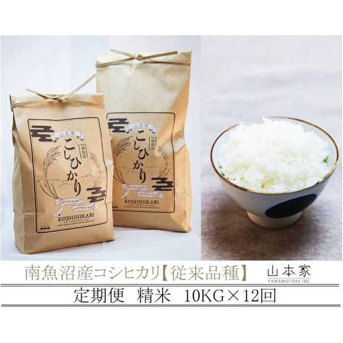 【ふるさと納税】【R7年産】【定期便】南魚沼産コシヒカリ精米10kg×12回 山本家【従来品種】 | お米 こめ 白米 コシヒカリ 食品 人気 おすすめ 送料無...