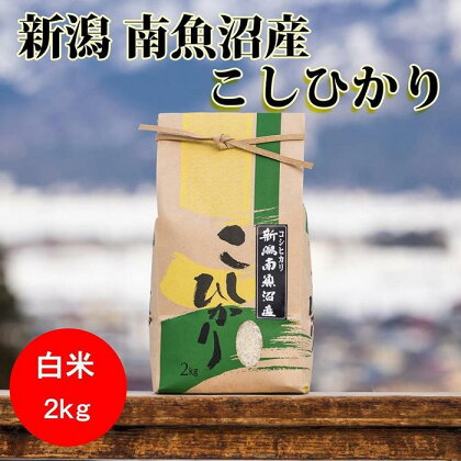 米 定期便 コシヒカリ 南魚沼産 6kg ( 2kg × 3ヶ月 ) | お米 こめ 白米 コシヒカリ 食品 人気 おすすめ 送料無料 魚沼 南魚沼 南魚沼市 新潟県産 新潟県 精米 産直 産地直送 お取り寄せ お楽しみ