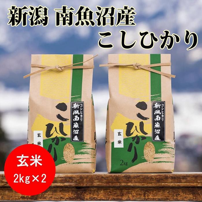 【ふるさと納税】米 定期便 玄米 コシヒカリ 南魚沼産 12kg ( 4kg × 3ヶ月 ) | お米 こめ 食品 人気 おすすめ 送料無料 魚沼 南魚沼 南魚沼市 新潟県 精米 産直 産地直送 お取り寄せ お楽しみ