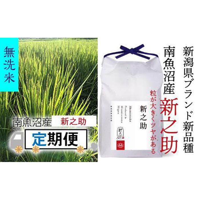 〈頒布会〉新之助 無洗米5kg×6回 農家直送・南魚沼産_AG | お米 こめ 白米 新之助 食品 人気 おすすめ 送料無料 魚沼 南魚沼 南魚沼市 新潟県産 新潟県 精米 産直 産地直送 お取り寄せ