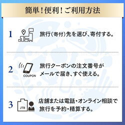 【ふるさと納税】【南魚沼市】JTBふるさと納税旅行クーポン（3,000円分） 画像2