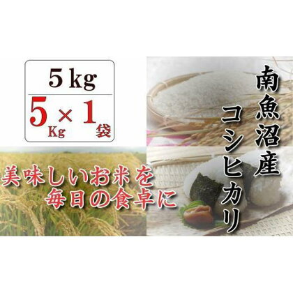 令和5年産　南魚沼産コシヒカリ「八龍の尾」5kg | お米 こめ 白米 コシヒカリ 食品 人気 おすすめ 送料無料 魚沼 南魚沼 南魚沼市 新潟県産 新潟県 精米 産直 産地直送 お取り寄せ