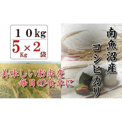 令和5年産　南魚沼産コシヒカリ「八龍の尾」10kg(5kg×2) | お米 こめ 白米 コシヒカリ 食品 人気 おすすめ 送料無料 魚沼 南魚沼 南魚沼市 新潟県産 新潟県 精米 産直 産地直送 お取り寄せ