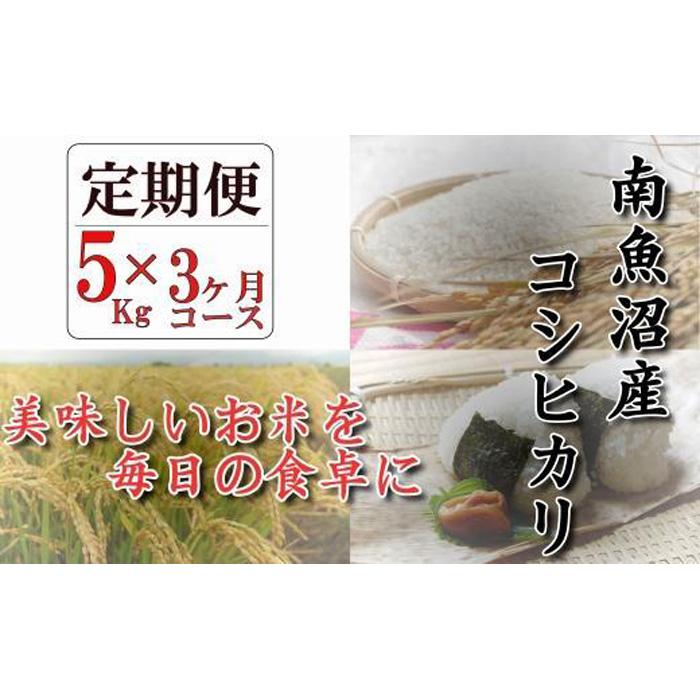 令和5年産南魚沼産コシヒカリ「八龍の尾」5kg×全3回 | お米 こめ 白米 コシヒカリ 食品 人気 おすすめ 送料無料 魚沼 南魚沼 南魚沼市 新潟県産 新潟県 精米 産直 産地直送 お取り寄せ お楽しみ