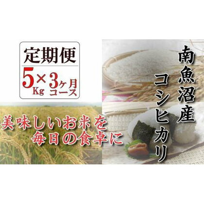 令和5年産【頒布会】南魚沼産コシヒカリ「八龍の尾」5kg×全3回 | お米 こめ 白米 コシヒカリ 食品 人気 おすすめ 送料無料 魚沼 南魚沼 南魚沼市 新潟県産 新潟県 精米 産直 産地直送 お取り寄せ お楽しみ