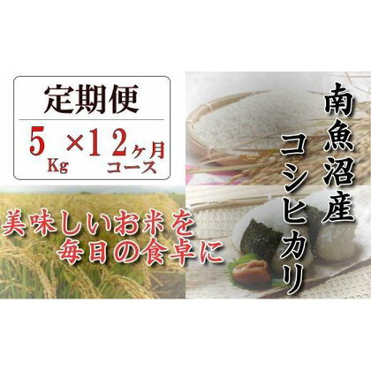 令和5年産【頒布会】南魚沼産コシヒカリ「八龍の尾」5kg×全12回 | お米 こめ 白米 コシヒカリ 食品 人気 おすすめ 送料無料 魚沼 南魚沼 南魚沼市 新潟県産 新潟県 精米 産直 産地直送 お取り寄せ お楽しみ