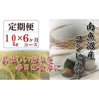 令和5年産【頒布会】南魚沼産コシヒカリ「八龍の尾」10kg×全6回 | お米 こめ 白米 コシヒカリ 食品 人気 おすすめ 送料無料 魚沼 南魚沼 南魚沼市 新潟県産 新潟県 精米 産直 産地直送 お取り寄せ お楽しみ