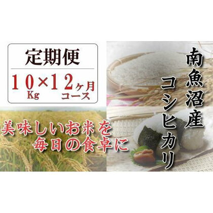 令和5年産【頒布会】南魚沼産コシヒカリ「八龍の尾」10kg×全12回 | お米 こめ 白米 コシヒカリ 食品 人気 おすすめ 送料無料 魚沼 南魚沼 南魚沼市 新潟県産 新潟県 精米 産直 産地直送 お取り寄せ お楽しみ