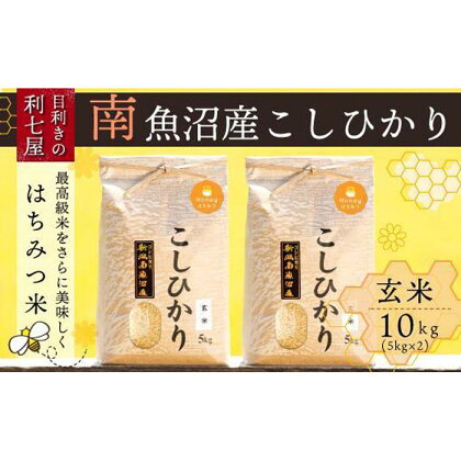 米 玄米 コシヒカリ 南魚沼産 10kg ( 5kg × 2袋 ) はちみつ米 特A地区 | お米 こめ 食品 コシヒカリ 人気 おすすめ 送料無料 魚沼 南魚沼 南魚沼市 新潟県 玄米 産直 産地直送 お取り寄せ