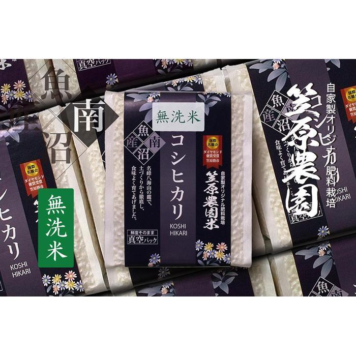 【ふるさと納税】【令和6年産新米予約／令和6年9月上旬より順