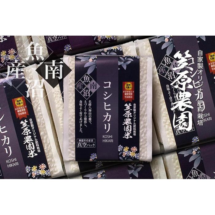 【ふるさと納税】【令和6年産新米予約／令和6年9月上旬より順