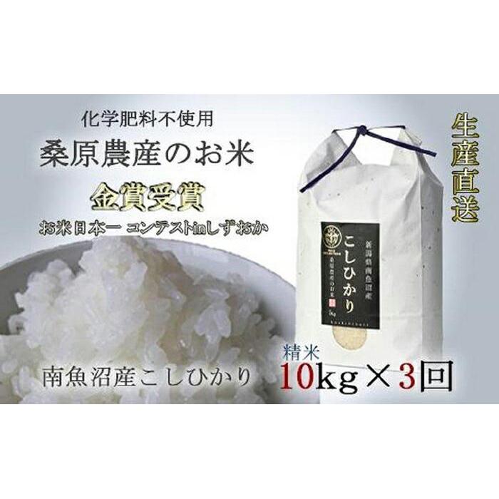 米 定期便 コシヒカリ 南魚沼産 30kg ( 10kg × 3ヵ月) 桑原農産 | お米 こめ 白米 コシヒカリ 食品 人気 おすすめ 送料無料 魚沼 南魚沼 南魚沼市 新潟県産 新潟県 精米 産直 産地直送 お取り寄せ お楽しみ