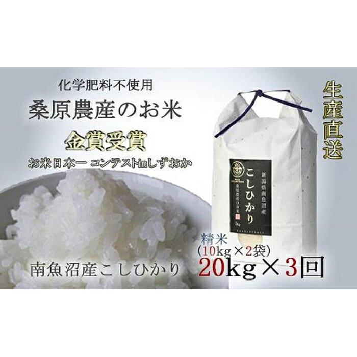 【ふるさと納税】米 定期便 コシヒカリ 南魚沼産 60kg ( 20kg × 3ヵ月) 桑原農産 | お米 こめ 白米 コシヒカリ 食品 人気 おすすめ 送料無料 魚沼 南魚沼 南魚沼市 新潟県産 新潟県 精米 産直 産地直送 お取り寄せ お楽しみ