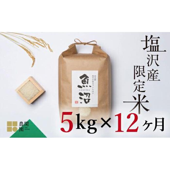 【ふるさと納税】米 定期便 60kg ( 5kg × 12ヶ