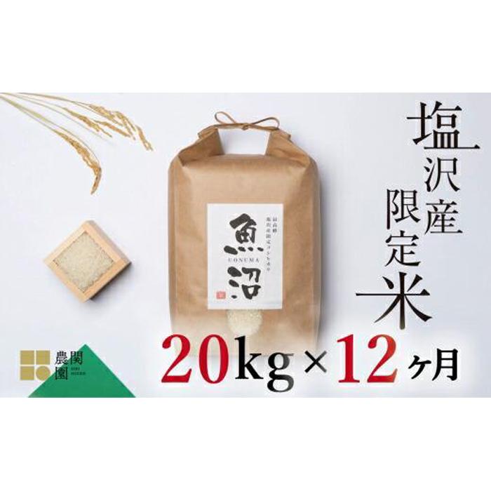 【ふるさと納税】米 定期便 240kg ( 20kg × 12ヶ月 ) お米 旧塩沢地区限定 こしひかり 新潟 南魚沼 魚沼産 南魚沼産 白米 | お米 こめ 白米 コシヒカリ 食品 人気 おすすめ 送料無料 魚沼 南魚沼 南魚沼市 新潟県産 新潟県 精米 産直 産地直送 お取り寄せ