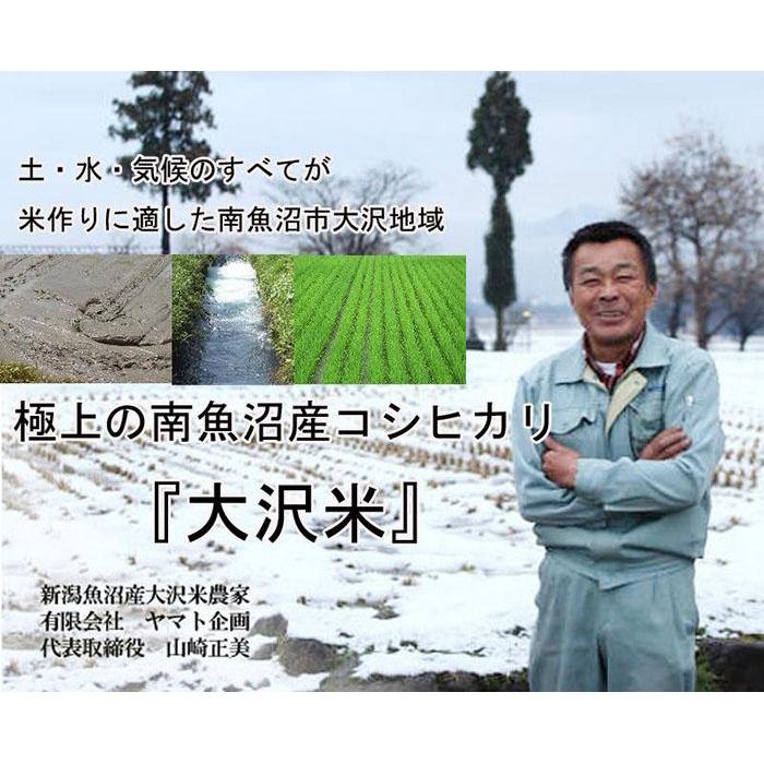 【ふるさと納税】米 玄米 コシヒカリ 南魚沼産 10kg ( 5kg × 2袋 ) 極上 大沢米 | お米 こめ 食品 人気 おすすめ 送料無料 魚沼 南魚沼 南魚沼市 新潟県 精米 産直 産地直送 お取り寄せ