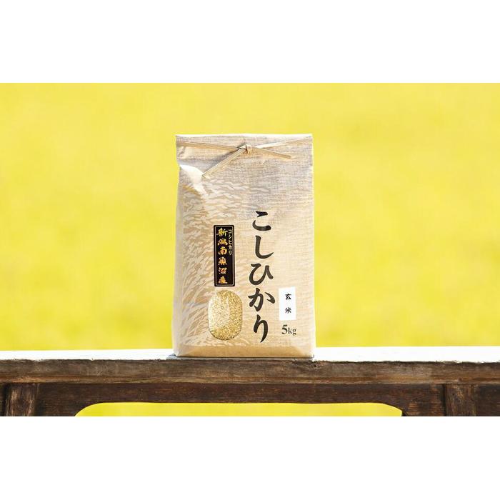 【ふるさと納税】米 定期便 玄米 コシヒカリ 南魚沼産 60
