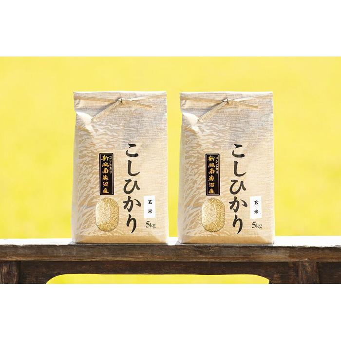 【ふるさと納税】米 定期便 玄米 コシヒカリ 南魚沼産 12