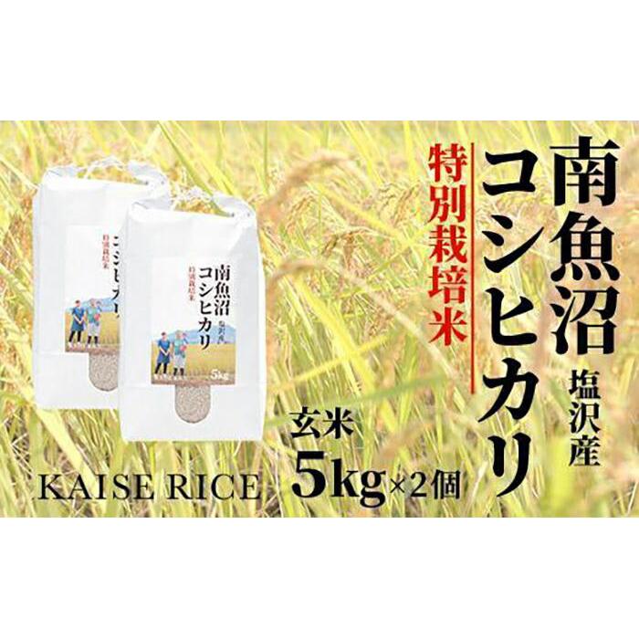 南魚沼産塩沢コシヒカリ【従来品種】（特別栽培米8割減農薬）玄米5kg×2個 | お米 こめ 食品 コシヒカリ 人気 おすすめ 送料無料 魚沼 南魚沼 南魚沼市 新潟県 玄米 産直 産地直送 お取り寄せ