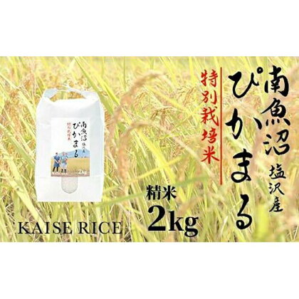 南魚沼産塩沢コシヒカリ【従来品種】（特別栽培米8割減農薬）精米2kg