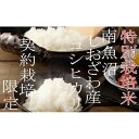 【ふるさと納税】【令和7年産】米 定期便 コシヒカリ 南魚沼しおざわ産 120kg ( 10kg × 12ヶ月 ) 特別栽培【2025年10月上旬より順次発送予定】 | お米 こめ 白米 コシヒカリ 食品 人気 おすすめ 送料無料 魚沼 南魚沼 南魚沼市 新潟県産 新潟県