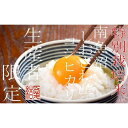 【ふるさと納税】【令和7年産】米 定期便 コシヒカリ 南魚沼しおざわ産 60kg ( 10kg × 6ヶ月 ) 特別栽培米【2025年10月上旬より順次発送予定】 | お米 こめ 白米 コシヒカリ 食品 人気 おすすめ 送料無料 魚沼 南魚沼 南魚沼市 新潟県産 新潟県 精米