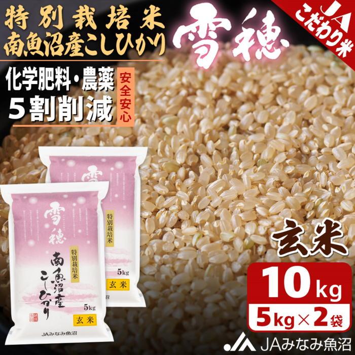 【ふるさと納税】【令