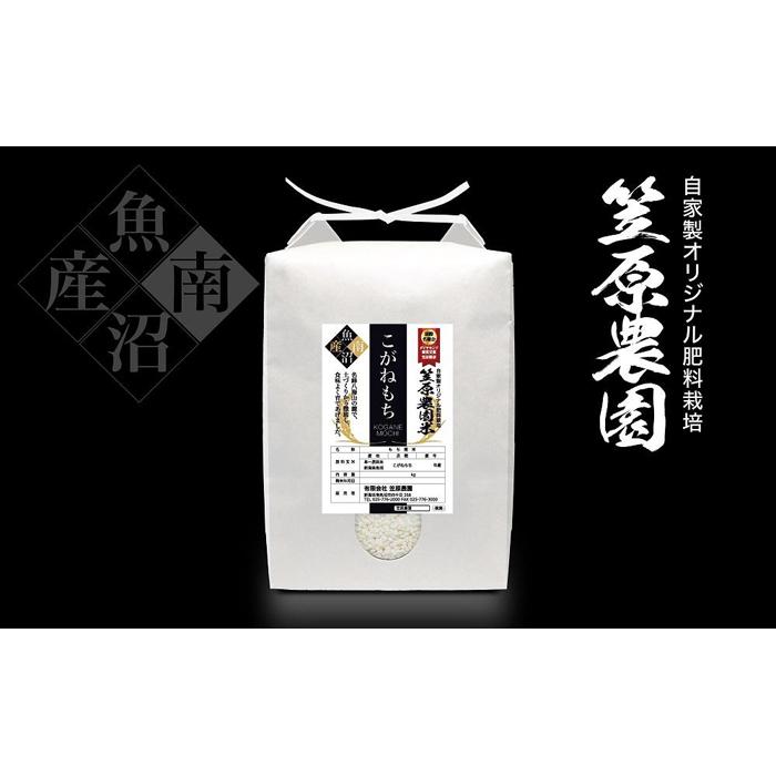 【ふるさと納税】【令和5年産】南魚沼産 笠原農園米 こがねもち 5kg | お米 こめ 白米 食品 人気 おすすめ 送料無料 魚沼 南魚沼 南魚沼市 新潟県産 新潟県 精米 産直 産地直送 お取り寄せ お楽しみ