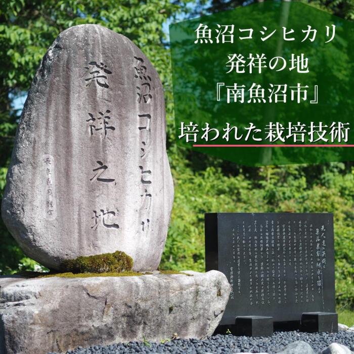 【ふるさと納税】米 定期便 南魚沼産 コシヒカリ 36kg ( 3kg × 12ヵ月 ) | お米 こめ 白米 食品 人気 おすすめ 送料無料 魚沼 南魚沼 南魚沼市 新潟県 精米 産直 産地直送 お取り寄せ お楽しみ