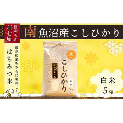 米 定期便 コシヒカリ 南魚沼産 15kg ( 5kg × 3ヶ月 ) はちみつ米 特A地区 | お米 こめ 白米 コシヒカリ 食品 人気 おすすめ 送料無料 魚沼 南魚沼 南魚沼市 新潟県産 新潟県 精米 産直 産地直送 お取り寄せ お楽しみ