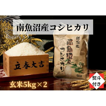 米 玄米 コシヒカリ 南魚沼産 10kg ( 5kg × 2袋 ) 高級 のし付き 特A地区 | お米 こめ 食品 コシヒカリ 人気 おすすめ 送料無料 魚沼 南魚沼 南魚沼市 新潟県 玄米 産直 産地直送 お取り寄せ