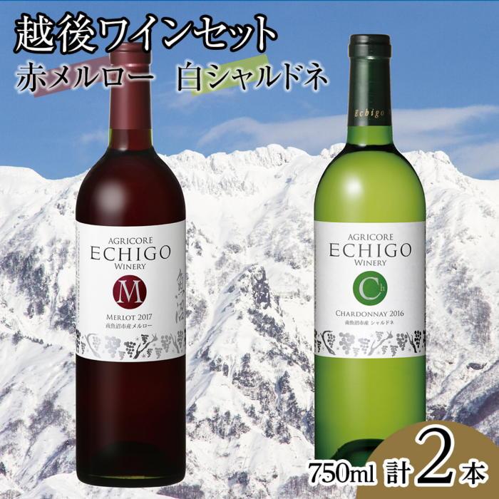 【ふるさと納税】酒 ワイン 飲み比べ 2本 × 750ml ( 越後ワイン メルロー シャルドネ ) | お酒 さけ 食品 人気 おすすめ 送料無料 ギフト セット