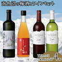 【ふるさと納税】酒 梅酒 & ワイン 飲み比べ 4本 ( 720ml × 2本 & 750ml × 2本 ) ( 鶴齢 八海山 越後ワイン 4種 ) | お酒 さけ 食品 人気 おすすめ 送料無料 ギフト セット