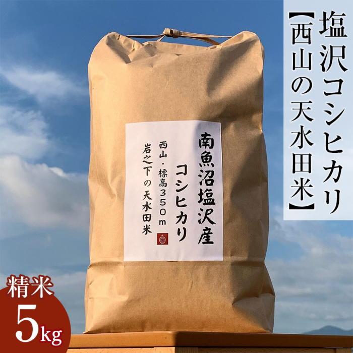 【ふるさと納税】塩沢コシヒカリ【西山の天水田米】(精米5kg