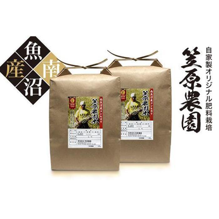 [令和6年産新米予約/令和6年9月上旬より順次発送]米 10kg ( 5kg × 2袋 ) お米 笠原農園米 こしひかり 新潟 南魚沼 魚沼産 南魚沼産 白米 精米 | お米 こめ 白米 コシヒカリ 食品 人気 おすすめ 魚沼 南魚沼